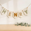 Personalized Felt Name Bunting: Pastel Nursery Decor